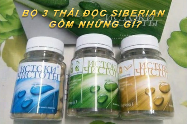 Bộ 3 Thải độc Siberian Gồm Những Gì? Phân Tích Thành Phần Khoa Học Chi Tiết